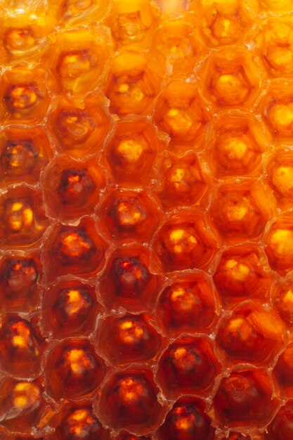 Close-up of honeycomb texture