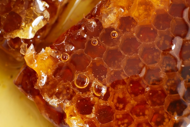 Close-up of honeycomb with beeswax and honey