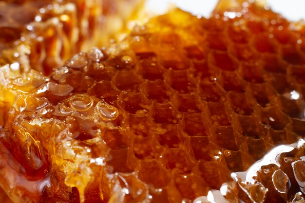 Close-up of honeycomb with beeswax and honey