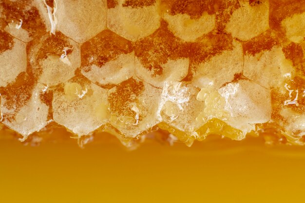 Крупный план сот с пчелиным воском