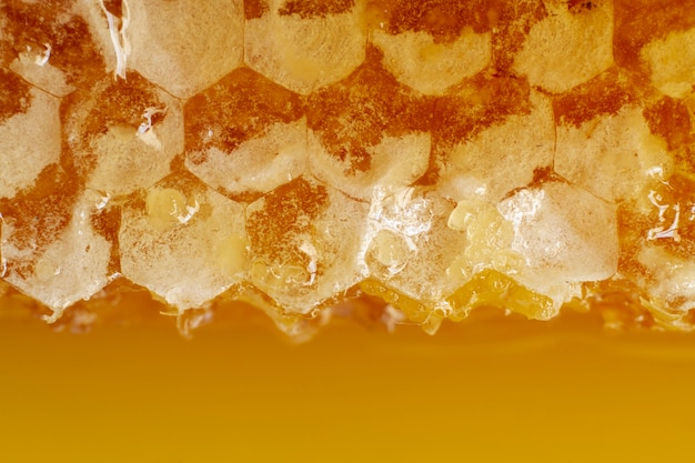 Close-up of honeycomb with beeswax