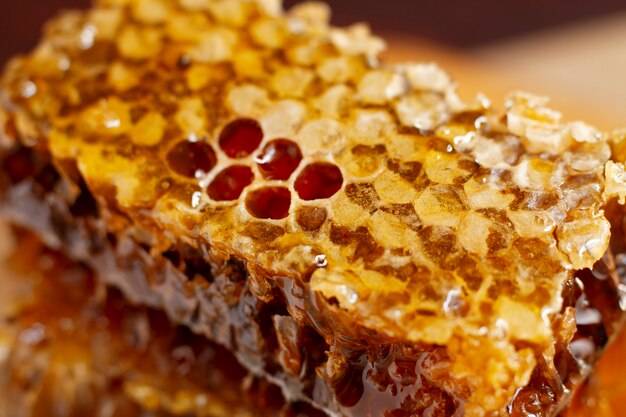 Close-up of honeycomb with honey and beeswax