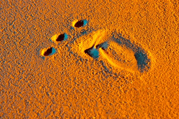 Close-up of human foot shape on sand