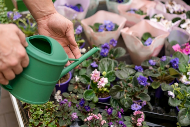 Free photo close-up individual watering flowers