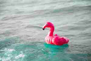 Free photo close up inflatble flamingo swim ring on water