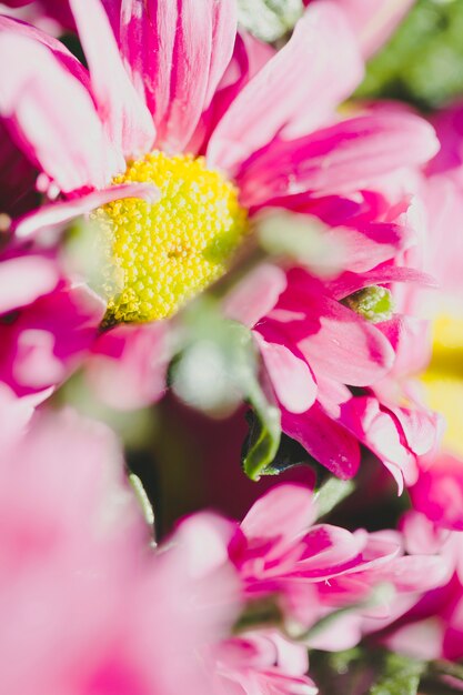 Close-up ink flowers