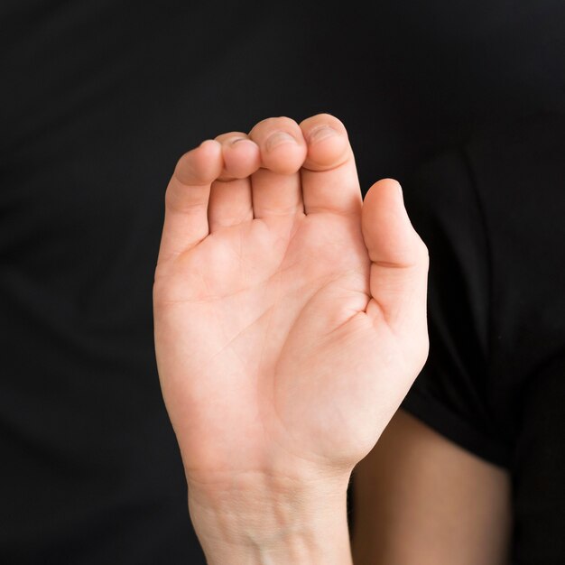 Close-up interpreter teaching sign language