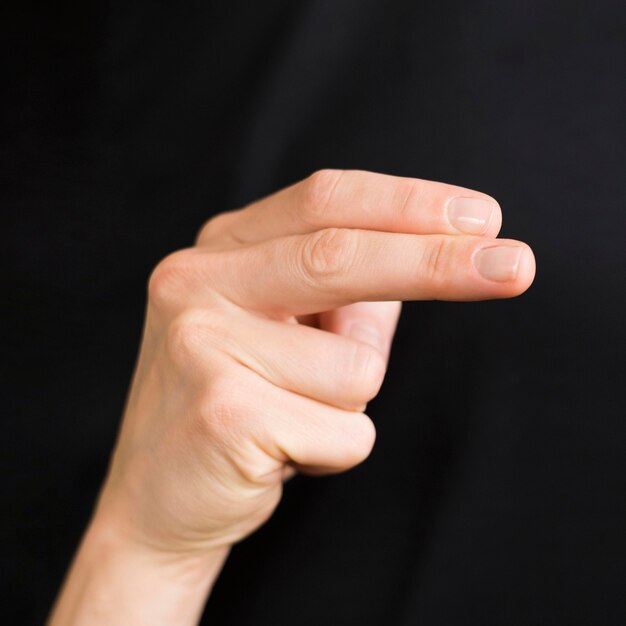 Close-up interpreter teaching sign language