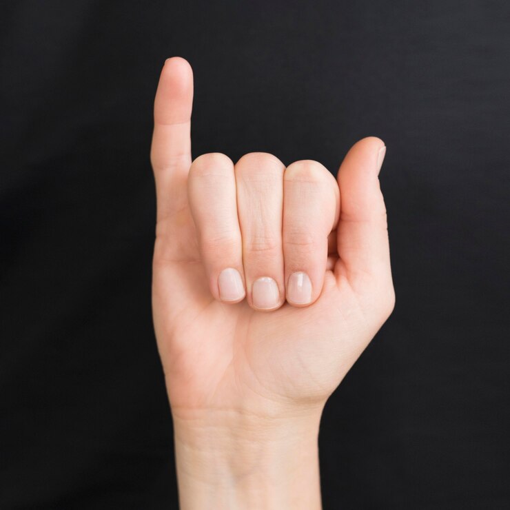 Free Photo close-up interpreter teaching sign language