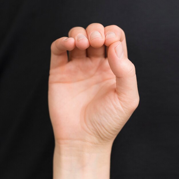 Close-up interpreter teaching sign language