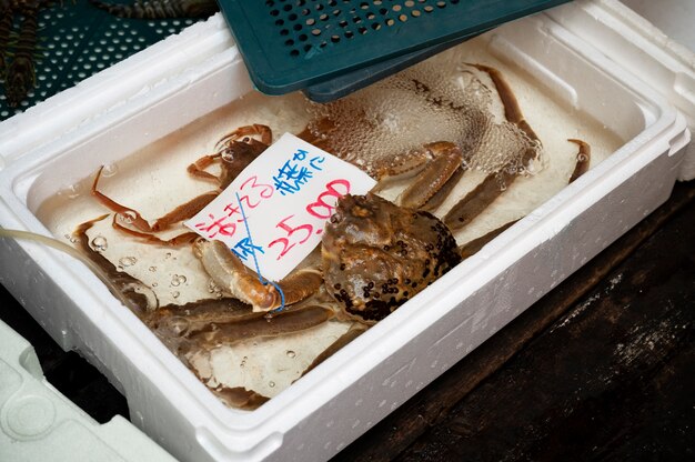 Close up on japanese street food