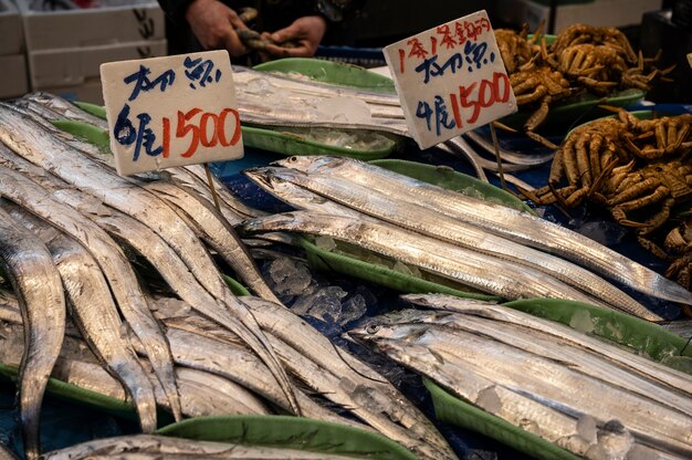 Close up on japanese street food