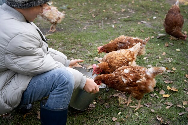 닭에게 먹이를 주는 아이를 닫습니다