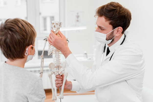 Close-up kid looking at skeleton