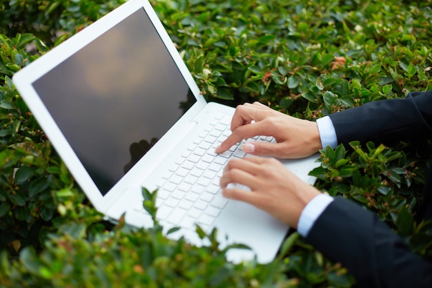 Close-up of laptop on a bush