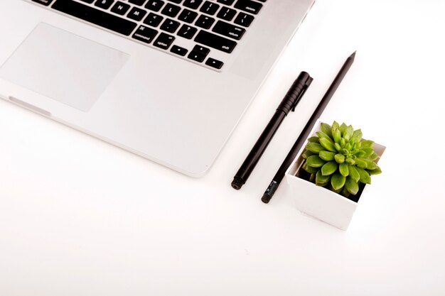 Close-up of laptop; pen; pencil and potted plant on white background