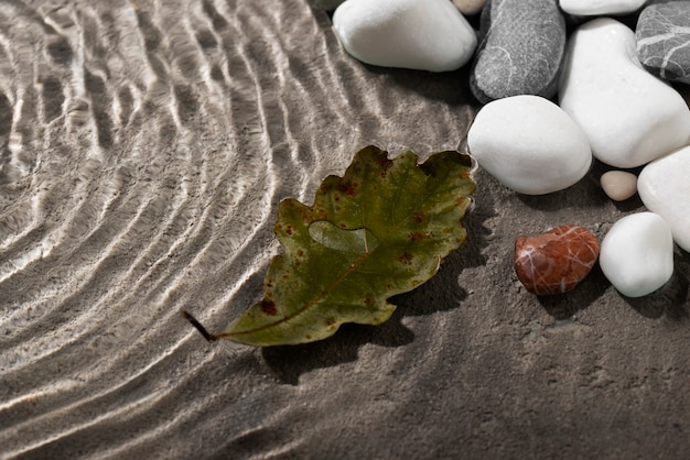 close-up-leaf-floating-water_23-21509630