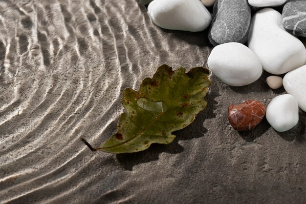 Close up on leaf floating on water