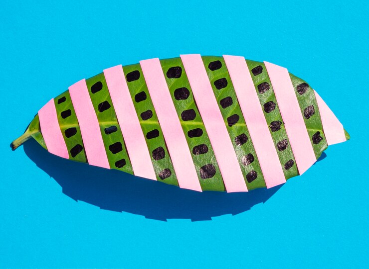 Free Photo close-up leaf with pink stripes flat lay