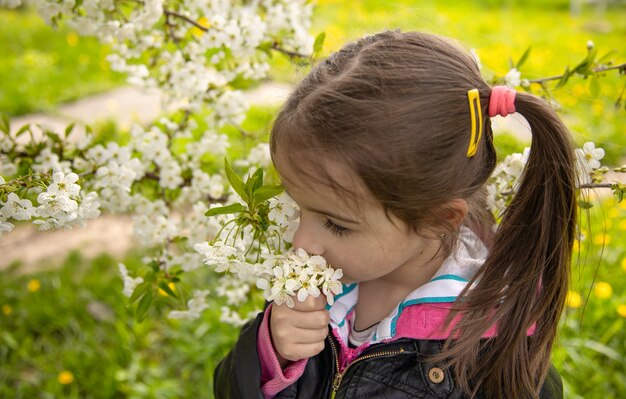 Крупным планом маленькая девочка нюхает цветущую ветку дерева.