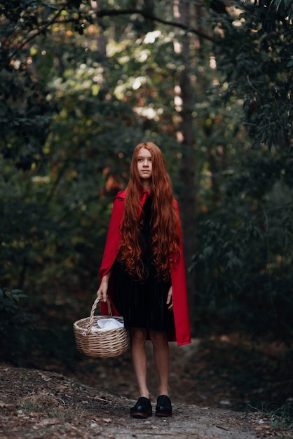 Close up on little red riding hood