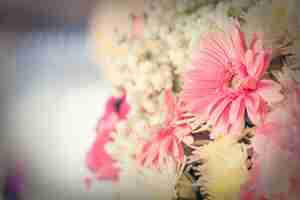 Foto gratuita close up macro fiore