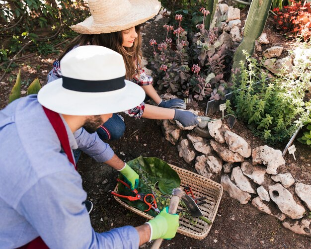 Close-up of a male and female worker working together in the garden