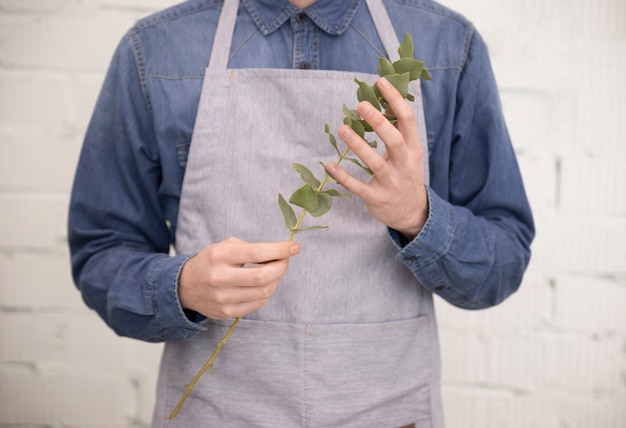 Free photo close-up of a male florist in apron holding branch of eucalyptus populus leaves