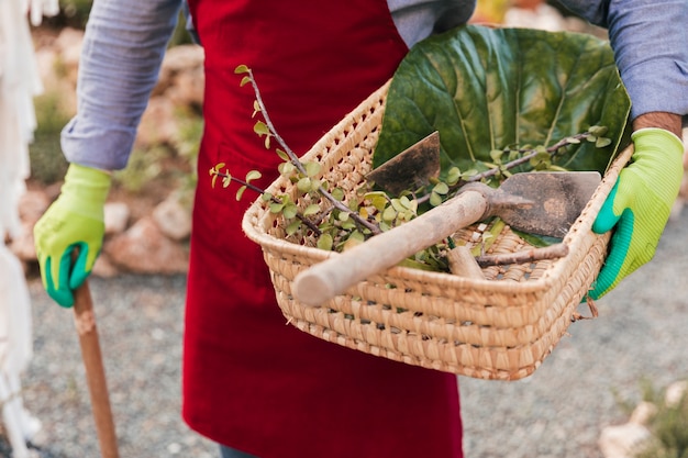 Free photo close-up of a male gardener holding gardening tools and harvested leaves in the basket