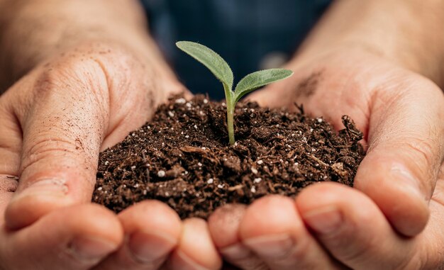 土と小さな植物を保持している男性の手のクローズアップ