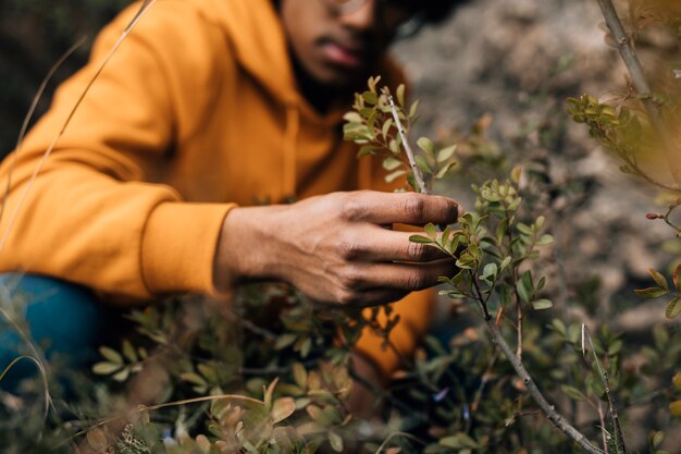 Close-up of a male hiker looking at the tree branch