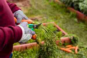 Free photo close-up man cutting leaves off carrot