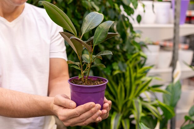 エレガントな観葉植物を保持しているクローズアップ男