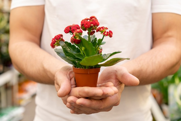 エレガントな観葉植物を保持しているクローズアップ男