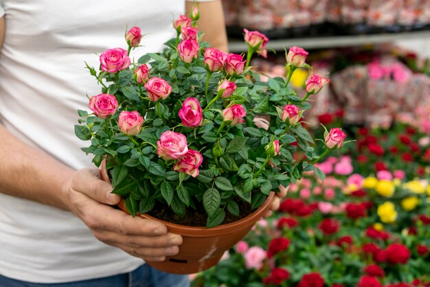 エレガントな観葉植物を保持しているクローズアップ男