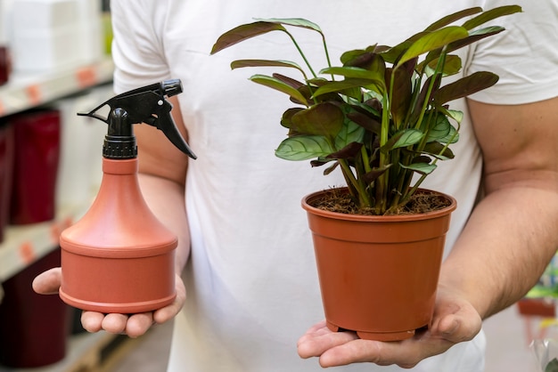 close-up man holding house plant