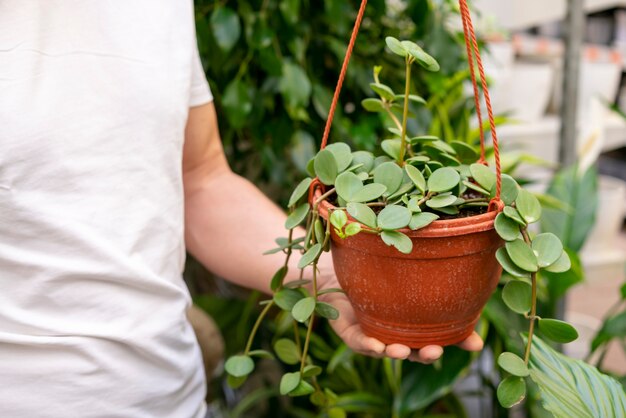 小さな家の植物を保持しているクローズアップ男