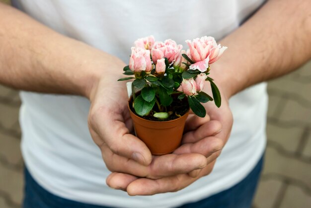 Close-up man holding small house plant