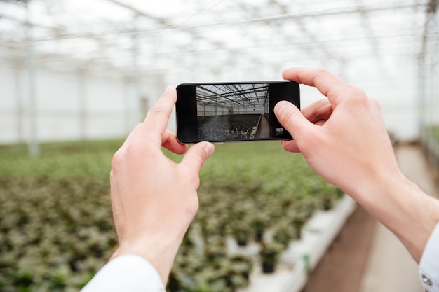 Close up of man making photo of greenery