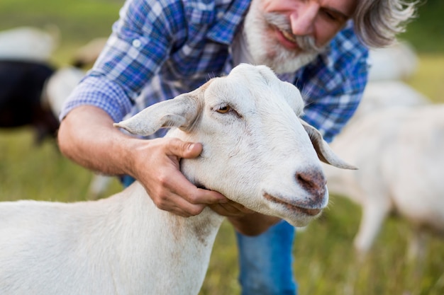 Close-up man playing with goat