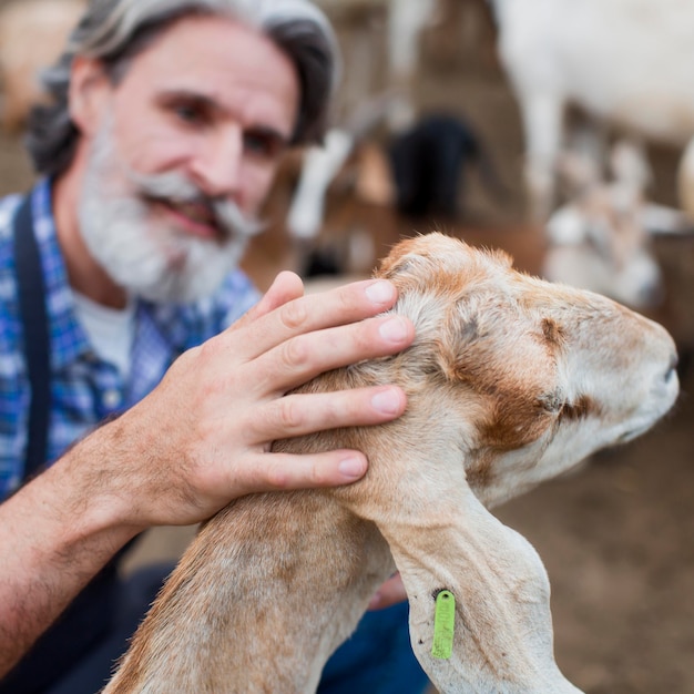 Free photo close-up man playing with goat