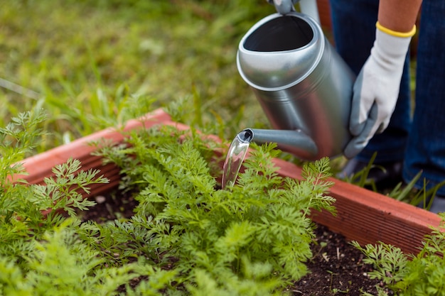 Close-up man watering plants with sprinkler