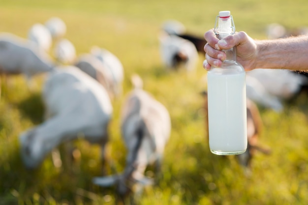 Close-up man with bottle of goat milk