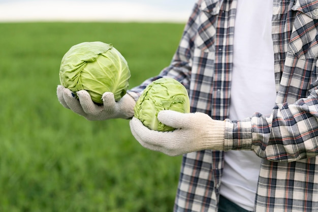 Close-up man with cabbage