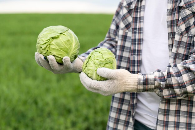 Close-up man with cabbage