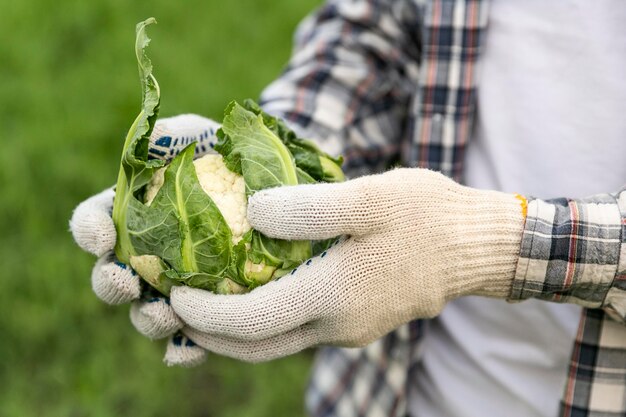 Close-up man with cauliflower