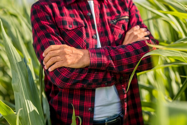 Close up man with crossed hands