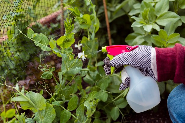 Крупным планом человек с садовые перчатки опрыскивание растений