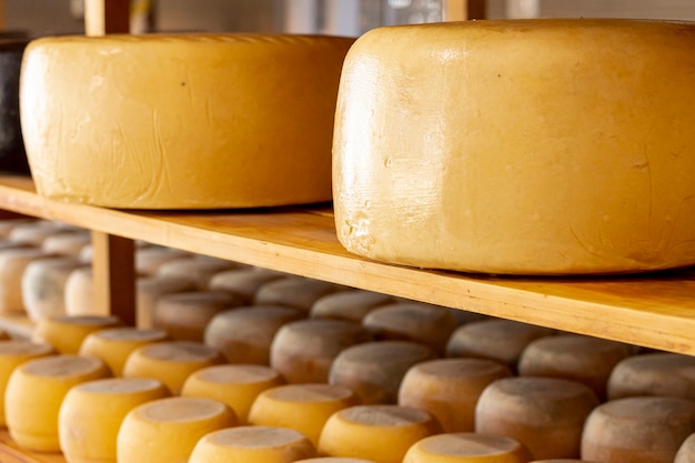 close-up matured cheese wheels