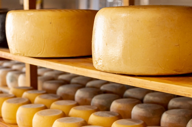 Close-up matured cheese wheels